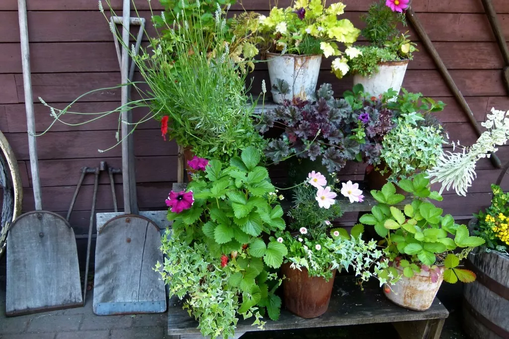 Choosing The Right Shovel For Your Garden in Sevenoaks 