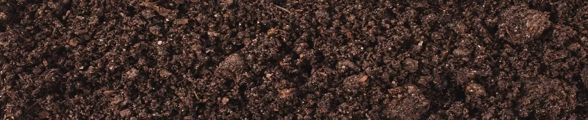 TopSoil TopSoil