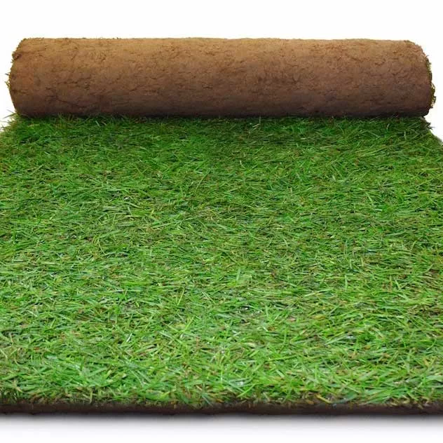 TEX = BEST VALUE Lawn Turf in London & Southeast direct to your door!
