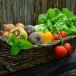 Vegetables to Grow in the Spring Time in Kensington